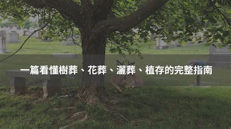 樹葬對子孫|影／環保葬／風水師：樹葬生魂若不安寧 恐影響後代子孫運勢